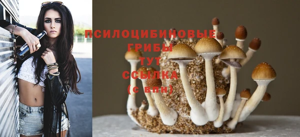бошки Богородск