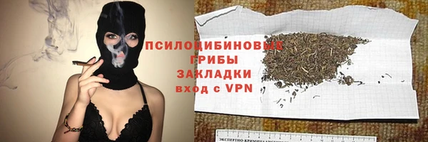 стафф Богданович