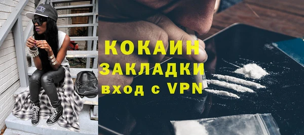 стафф Богданович