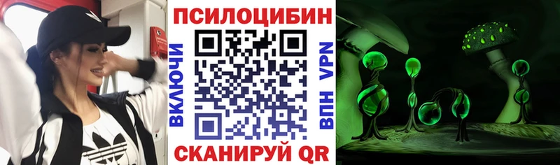 Псилоцибиновые грибы ЛСД  наркота  Кедровый 